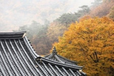[길에서 만난 사람]조선 성리학의 뿌리, 선비고을 영주
