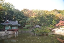 [박상미의 공감 스토리텔링]정조와 함께 ‘왕의 정원’ 창덕궁을 걷다