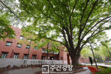 [광복 70년 역사르포](11) 6·3 사태 발원지-옛 서울대 문리대 교정(마로니에 공원)…민족·민주를 위한 갈망 푸르게 물들이다