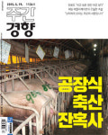 [독자 댓글]1126호 “‘동물공장’보다 ‘동물농장’이 더 낫지 않을까”外를 보고