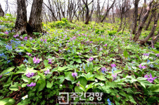 [렌즈로 본 세상]죽기 전에 꼭 가보아야 할 ‘천상의 화원’