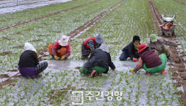 [포커스Ⅱ]“한국 지방 40%는 이미 붕괴되었다”