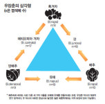 [구석구석 과학사](7) 씨 없는 수박은 우장춘 박사가 만들었다?