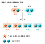 [닥터 조홍근의 ‘알기 쉬운 건강이야기’]가족성 고콜레스테롤혈증은 왜 생기나?