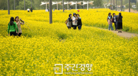 [정창수의 ‘나라살림을 제대로 바꾸는 법’]장기 미집행 도시공원의 임박한 파국