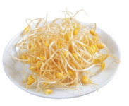 [허브에세이]해장국의 으뜸 콩나물, 쓰임새 다양