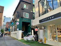 [골목내시경]강남 가로수길 세로수길