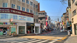 [골목 내시경]강남 논현동 골목-낮에는 고요하고 밤이면 번성하는 골목