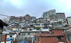 [골목내시경]약수동 골목길 “서민과 노인 살기에 이만한 곳이 없어요”