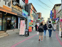 [골목 내시경]성신여대 골목-봄꽃같이 푸르고 아름다운 젊음의 거리