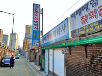 [골목 내시경]성신여대 골목-봄꽃같이 푸르고 아름다운 젊음의 거리