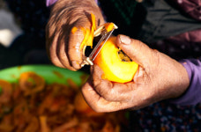 [정태겸의 풍경](19)진안 마조마을 ‘씨 없는 감’ 다듬다 가을이 묻었네