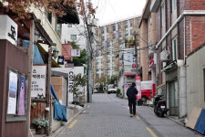 [골목 내시경]이 계절엔 필동을 걸어야 한다