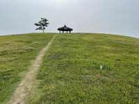 힐링하시개! 반려견과 김제·익산·전주 여행[8인8색 여행특집]