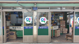 버스 타고 ‘울릉도‘ 여행…“야, 너두 30만원으로 할 수 있어!”
