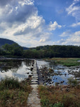 산과 숲, 논과 밭… 괴산·청주 ‘초록의 길’을 걷다[8인8색 여행특집]