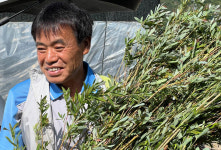 농부가 된 불문학자 이원복 “자연과 하나 된 삶에서 행복 얻었죠”[한기홍이 만난 사람](2)