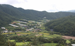 인제에는 지방을 살리는 사람들이 있다