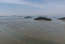 해양생태축 설정은 왜 필요한가[해양생태계의 위기](1)