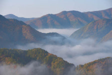 경북 봉화 - 낙동강의 아침[정태겸의 풍경](36)