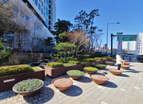 보도입양제, 잘 모르거나 악용하거나