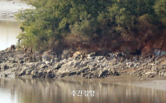 남북관계, 어디로 가는가[렌즈로 본 세상]