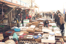 경남 창원 마산어시장-마산은 아직 살아 있다[정태겸의 풍경](80)