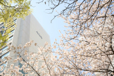 대전 엑스포아파트-이 시대의 마을숲[정태겸의 풍경](85)