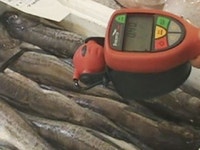 원양산 수산물 방사능 안전성 조사 확대