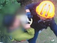 멧돼지 피해 나무로 피신...등산객 구조