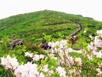 백두대간 생태지도 드디어 완성!