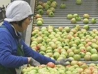 바쁘다 바뻐...농산물 물류센터