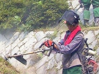 신명인쇄사，예산벌초대행 | 벌초 대행서비스 인기