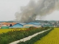 김포 메추리 농장 축사 화재...12만 마리 불에 타