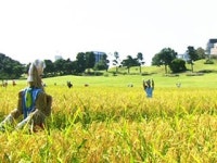 오늘 완연한 가을...바깥활동 좋아요