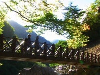 [한국의 휴양림] 국립신불산자연휴양림