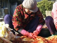 "직접 김장" 늘면서 절임배추 인기