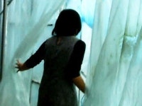 줄줄 새는 비닐하우스 국가보조금