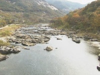 아름다운 섬진강 문화예술제