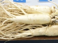 인삼, 스트레스 개선 효과 ＋α