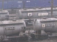 파업 이틀째...시멘트·무연탄 확보 비상