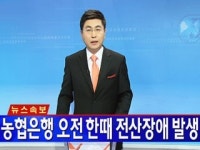 농협은행 일부 지점 오전 한때 전산장애 발생