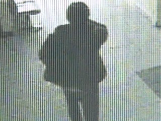 치과의사 자가 필로폰 투약 사건, 법원 자격정지 적법 판결
