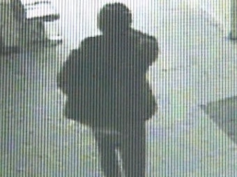 치과의사 자가 필로폰 투약 사건, 법원 자격정지 적법 판결