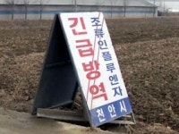 AI 악몽 재현되면 어쩌나...초긴장