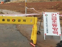 고창과 정읍에서 AI 의심신고...확산 우려