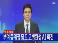 [속보] 부여 종계장 닭도 고병원성 AI 확진