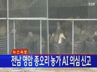 [속보] 전남 영암 종오리 농가 AI 의심신고