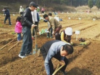 [서울] 서울시 친환경농장 9천여 구획 분양