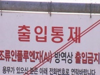 AI 의심 화성 양계장, 수도권 첫 살처분